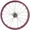 Shimano Disc 28 Wheel -Specialized Bikes Shop 93801192 xxl