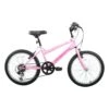 Synergy 20 Inch Girl's Bike