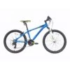 Anarchy 24 Inch Boy's Mountain Bike