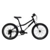 Ash 20 Inch Kids Bike