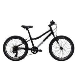 Ash 20 Inch Kids Bike
