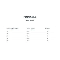 Ash 20 Inch Kids Bike -Specialized Bikes Shop 93918203 xxl a3